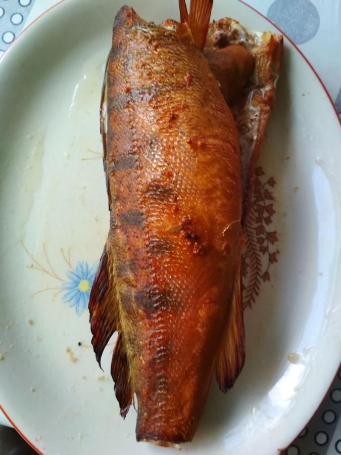 Bohuslav Діво 빌라 외부 사진