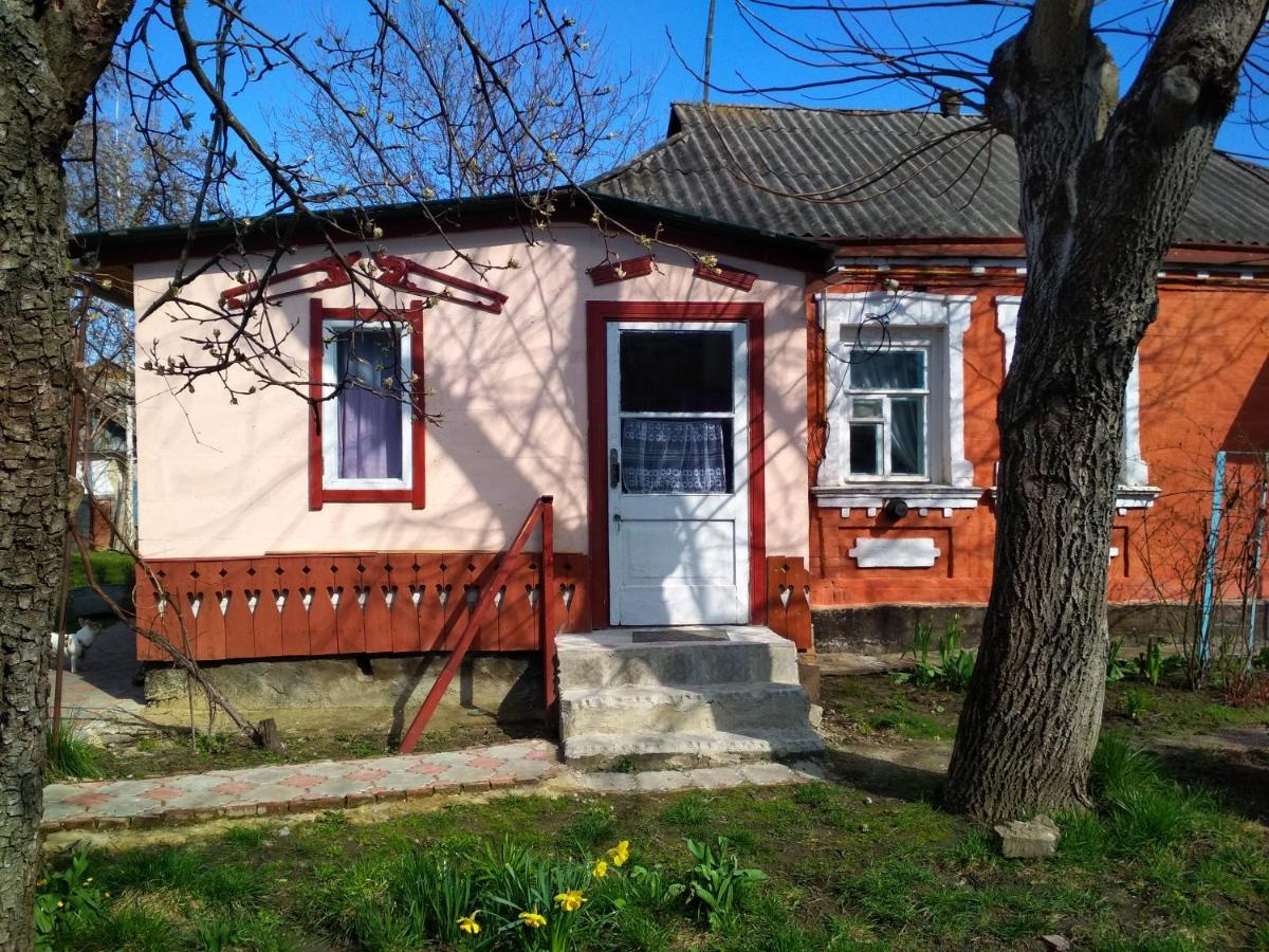 Bohuslav Діво 빌라 외부 사진