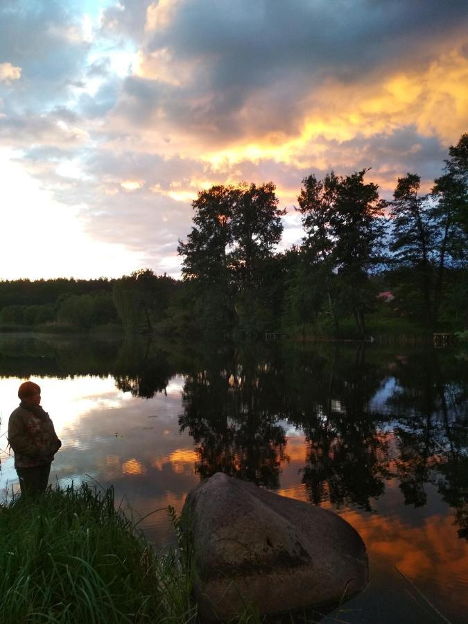 Bohuslav Діво 빌라 외부 사진